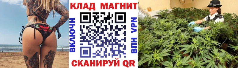 Где можно купить наркотики Грайворон Марихуана APVP Псилоцибиновые грибы ГАШ