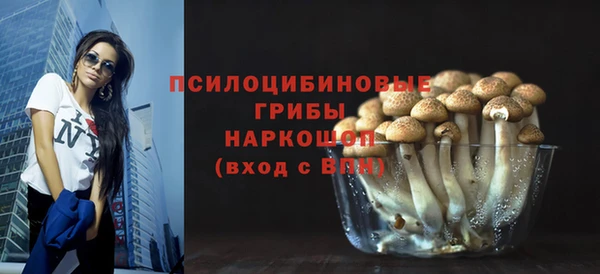 apvp Алзамай