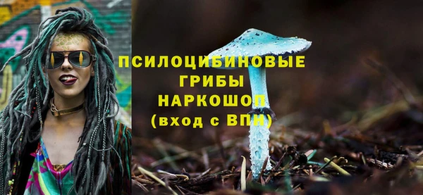 apvp Алзамай