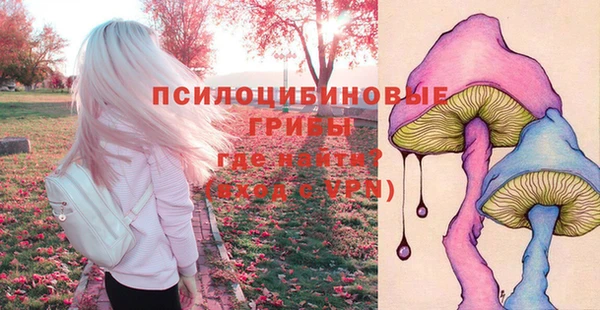 дурь Алексин