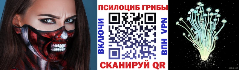 Галлюциногенные грибы мицелий где можно купить Грайворон